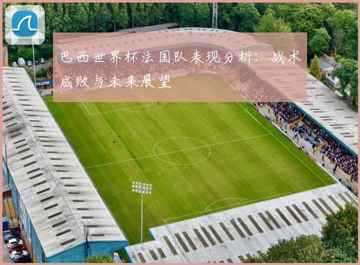 巴西世界杯法国队表现分析:战术成败与未来展望