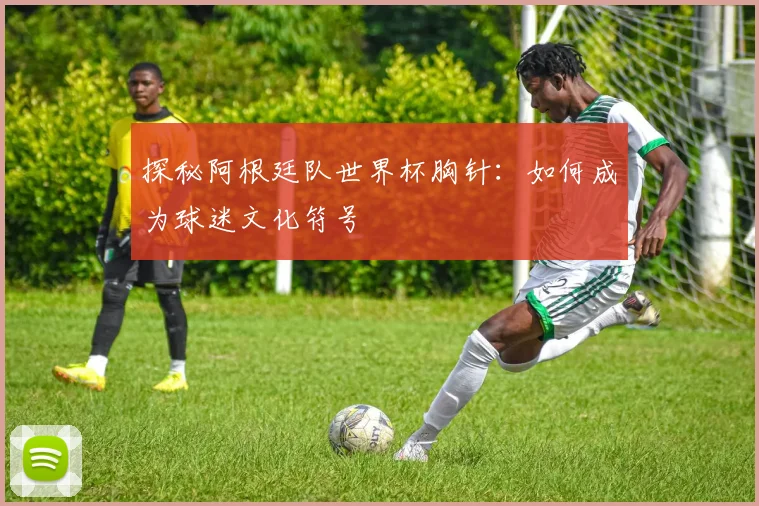 探秘阿根廷队世界杯胸针：如何成为球迷文化符号