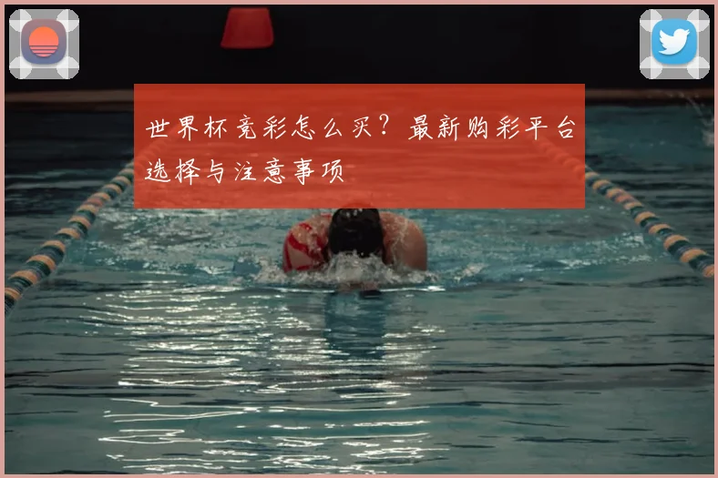 世界杯竞彩怎么买？最新购彩平台选择与注意事项
