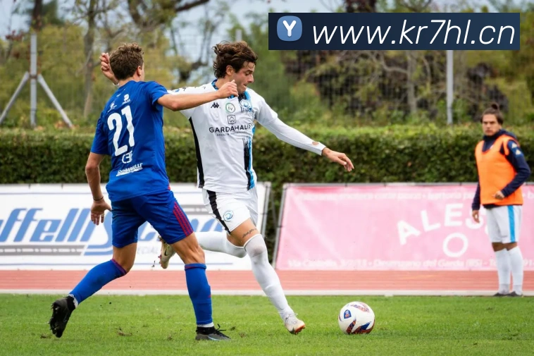 乐鱼官网全网发展历程